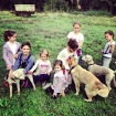 Help Animals
